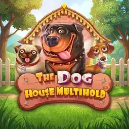 The Dog House Multihold game at Woo Casino for Australian players